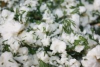 Приготовление начинки
